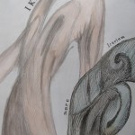 2004 - Ikaros / Icarus / Ikarus